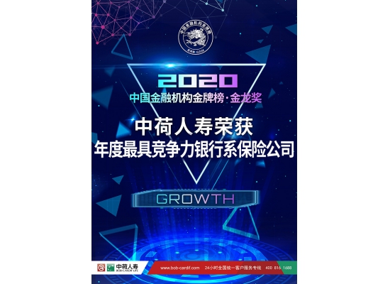 中荷人寿荣获“2020年度